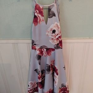 David's Bridal Skater Dress